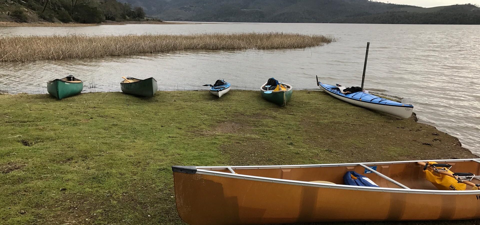 Canoes and kayaks on a water bank.